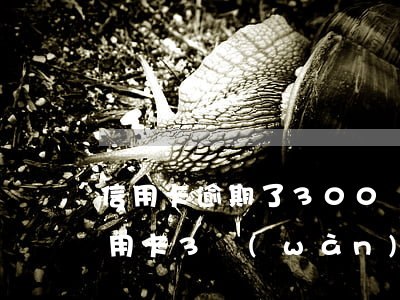 信用卡逾期了300塊錢怎么辦(我,逾期的信用卡3萬(wàn)塊錢后果會(huì)怎樣)