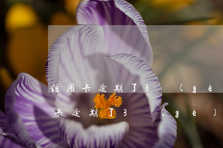 信用卡逾期了3個(gè)月了怎么辦(信用卡逾期了3個(gè)月了怎么辦理)