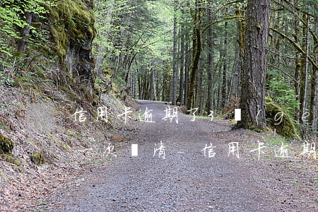信用卡逾期了3個(gè)月內(nèi)一次還清-信用卡逾期了3個(gè)月內(nèi)一次還清可以嗎