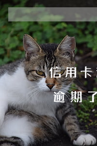 信用卡逾期了3個月收到開庭通知書（信用卡逾期了3個月收到開庭通知）