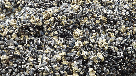 信用卡逾期了3筆還能貸款嗎(信用卡逾期了3筆還能貸款嗎怎么還款)
