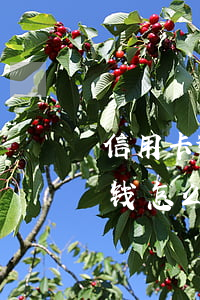 信用卡逾期了40块钱 信用卡逾期了40块钱怎么办