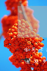 信用卡逾期了4千元怎么辦(信用卡4000逾期多久會上征信)