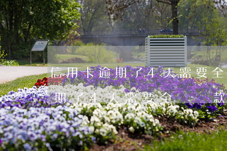 信用卡逾期了4天需要全額還款嗎(信用卡逾期了4天需要全額還款嗎)
