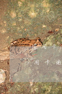 信用卡逾期了5年了為什么還在(5年前的信用卡逾期)