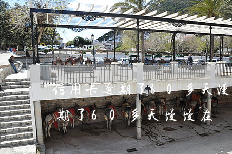 信用卡逾期了60多天慢慢在還-信用卡逾期了60多天慢慢在還款可以嗎