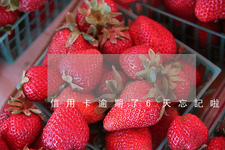 信用卡逾期了6天忘記啦