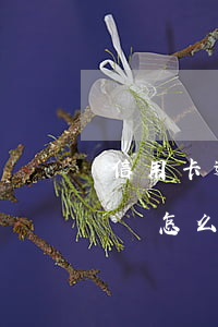 信用卡逾期了6天還款嚴重嗎 還款逾期6天會怎么樣
