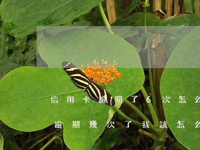 信用卡逾期了6次怎么辦(朋友用我的信用卡逾期幾次了,我該怎么辦)