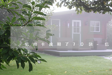 信用卡逾期了70块-信用卡60块钱逾期
