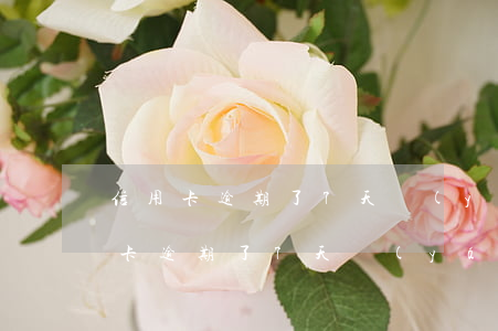 信用卡逾期了7天嚴(yán)重嗎-信用卡逾期了7天嚴(yán)重嗎,會(huì)不會(huì)上征信?