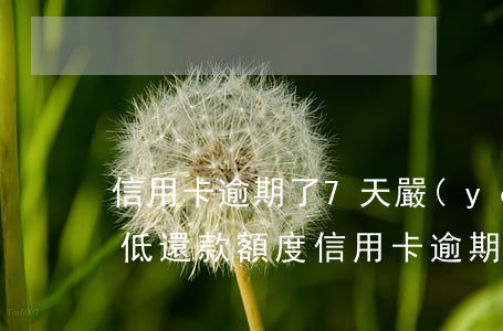 信用卡逾期了7天嚴(yán)重嗎,還了最低還款額度（信用卡逾期了7天嚴(yán)重）