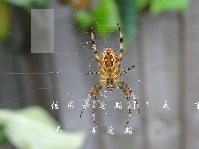 信用卡逾期了7天嚴重嗎貼吧-信用卡7天不還算逾期嗎