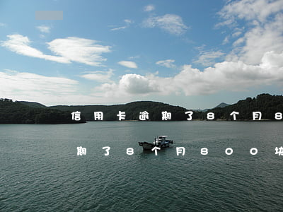 信用卡逾期了8个月800块钱-信用卡逾期了8个月800块钱怎么办