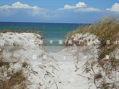 信用卡逾期了8加是什么意思 8張信用卡全部嚴(yán)重逾期了怎么辦