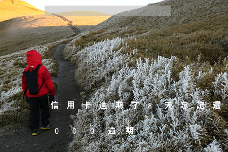信用卡逾期了8天忘記還款要緊嗎 信用卡8000逾期