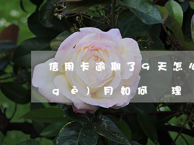 信用卡逾期了9天怎么辦(信用卡逾期9個(gè)月如何處理)