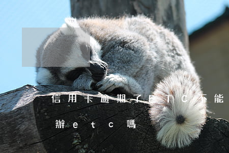 信用卡逾期了ETC不能用(征信有逾期可以辦etc嗎)