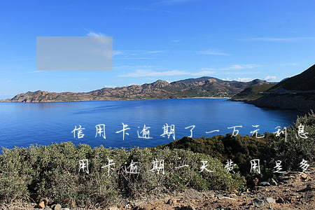 信用卡逾期了一万元利息多少(一万块钱的信用卡逾期一天费用是多少?)