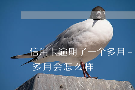 信用卡逾期了一个多月-信用卡逾期了一个多月会怎么样