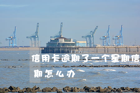 信用卡逾期了一个星期(信用卡逾期了一个星期怎么办)