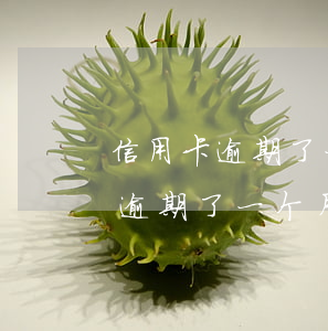 信用卡逾期了一个月还款会怎么样-信用卡逾期了一个月还款会怎么样吗