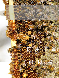 信用卡逾期了一個(gè)小時(shí)可以協(xié)商嗎-信用卡逾期了一個(gè)小時(shí)可以協(xié)商嗎還款嗎