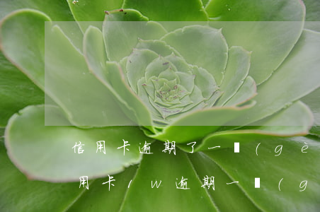 信用卡逾期了一個(gè)月利息要多少 信用卡1w逾期一個(gè)月利息怎么算
