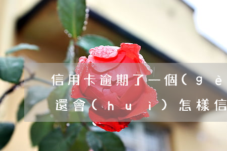 信用卡逾期了一個(gè)月沒(méi)還會(huì)怎樣(信用卡逾期了一個(gè)月沒(méi)還會(huì)怎樣嗎)