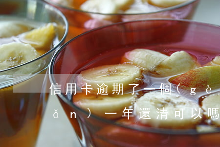 信用卡逾期了一個(gè)月還一點(diǎn)一年還清可以嗎-信用卡逾期了一個(gè)月還一點(diǎn)一年還清可以嗎