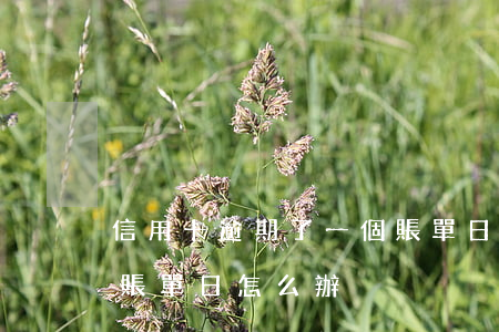 信用卡逾期了一個賬單日(信用卡逾期了一個賬單日怎么辦)