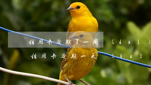 信用卡逾期了一周對(duì)征信有影響(信用卡逾期一天會(huì)不會(huì)影響征信)