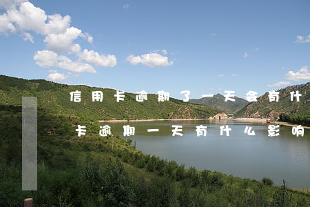 信用卡逾期了一天会有什么影响(信用社信用卡逾期一天有什么影响)