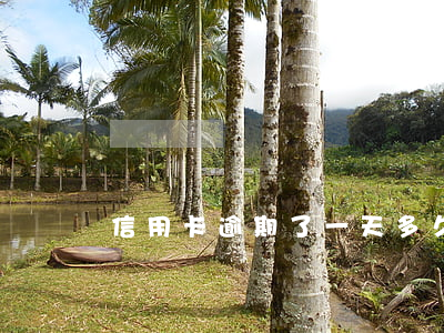信用卡逾期了一天多久會(huì)上征信