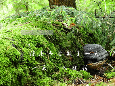 信用卡逾期了一天會入征信嗎(信用卡逾期了一天會入征信嗎)