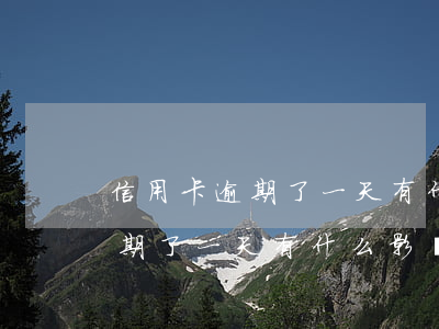 信用卡逾期了一天有什么影響嗎-信用卡逾期了一天有什么影響嗎怎么辦