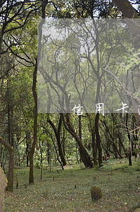 信用卡逾期了一年了怎么还款