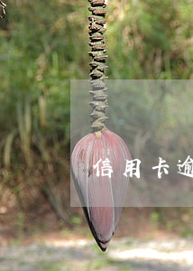 信用卡逾期了一年了沒有還