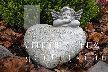 信用卡逾期了一年怎么還(信用卡逾期一個(gè)月,現(xiàn)在還了)
