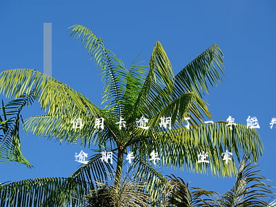 信用卡逾期了一年能判坐牢嗎(幾萬的信用卡逾期半年會坐牢嗎?)