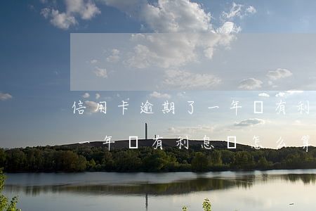 信用卡逾期了一年還有利息嗎(信用卡逾期了一年還有利息嗎怎么算)