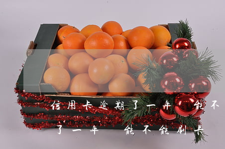 信用卡逾期了一年還能不能刷卡(信用卡逾期了一年還能不能刷卡還款)