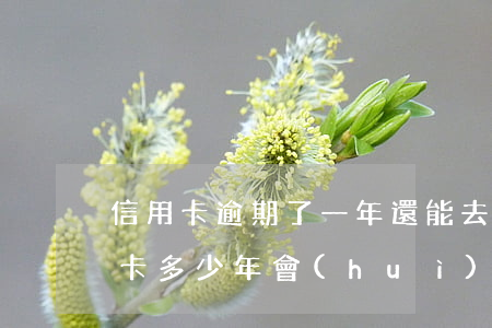 信用卡逾期了一年還能去香港嗎(香港欠信用卡多少年會(huì)不追究)