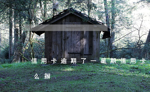 信用卡逾期了一星期(信用卡逾期了一星期怎么辦)