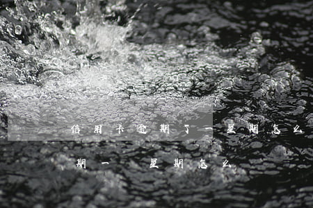 信用卡逾期了一星期怎么辦(忘記還信用卡逾期一個星期怎么辦)