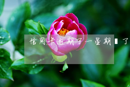 信用卡逾期了一星期還了(逾期兩天還信用卡)