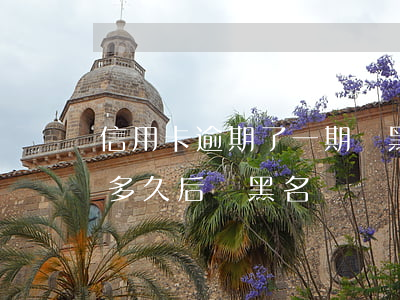 信用卡逾期了一期會黑名單嗎(欠信用卡逾期多久后會黑名單)