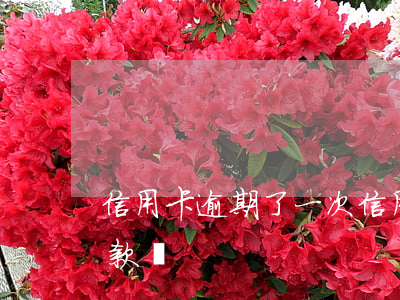 信用卡逾期了一次(信用卡逾期了一次可以貸款嗎)