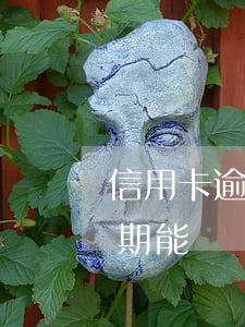 信用卡逾期了一次能車貸嗎(有一次信用卡逾期能辦車貸嗎)