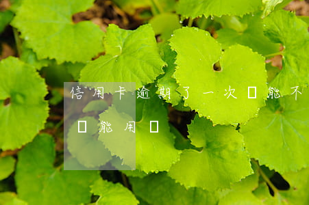 信用卡逾期了一次還能不能用 逾期了信用卡還能用嗎